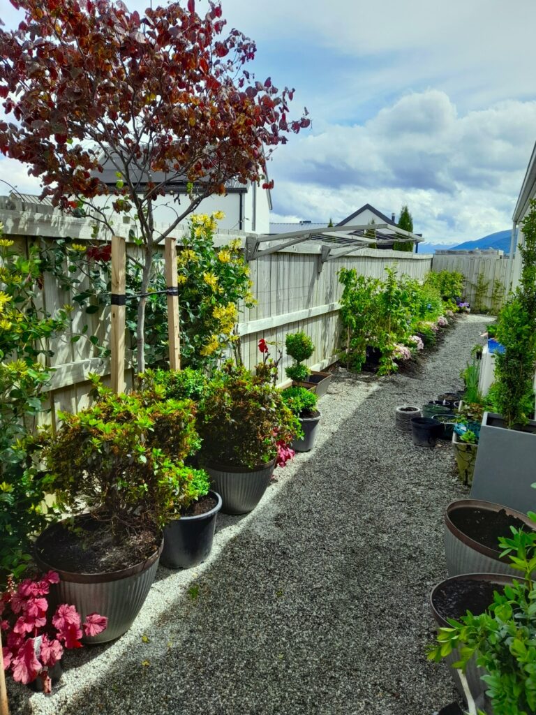 Blog Pinewood Garden Company